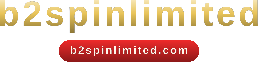 b2spinlimited logo
